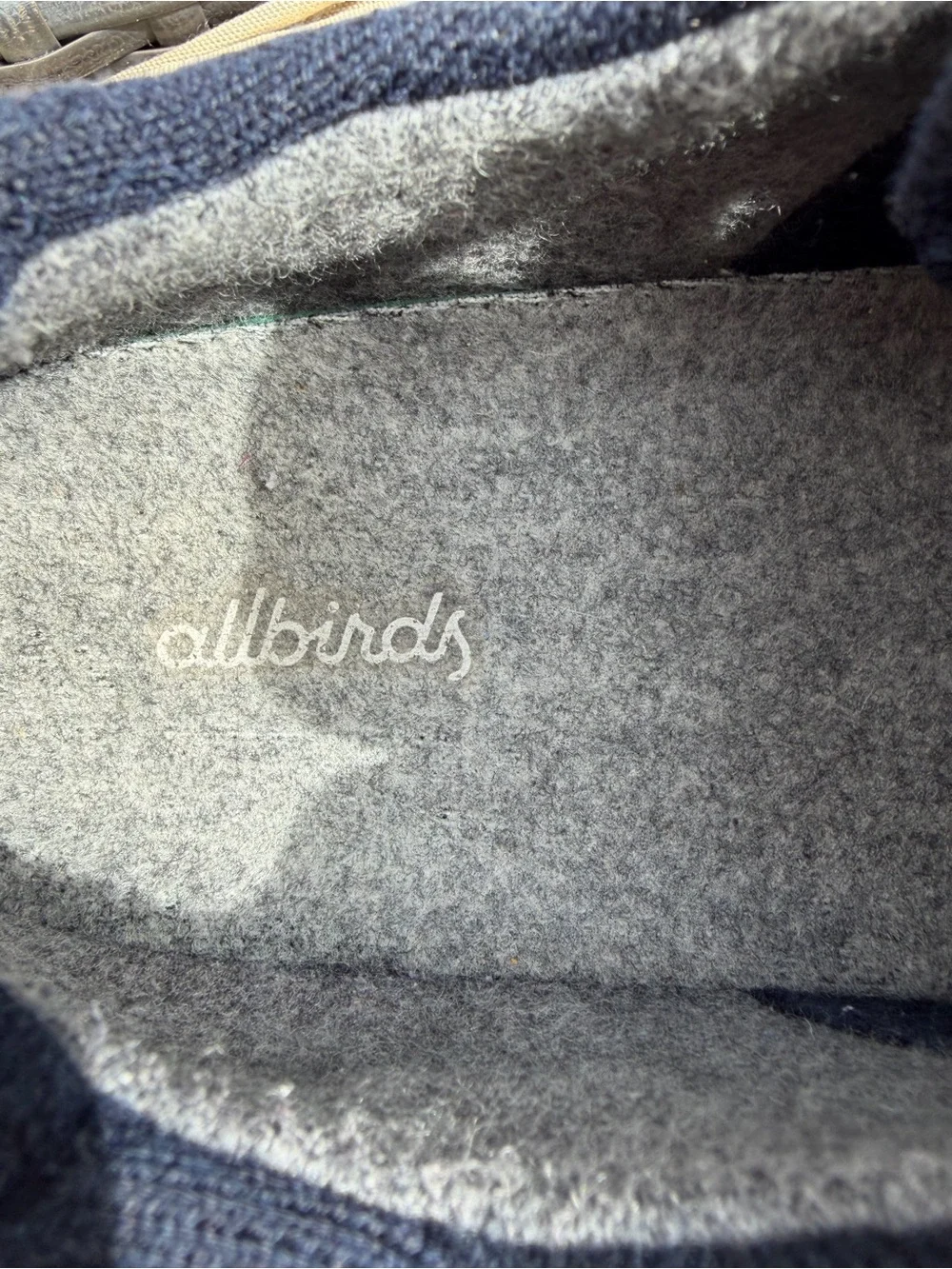 allbirds low navy men